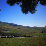 Photo n°5 de l'avis de Salvatore.l fait le 21/03/2019 à 07:24 sur le  Ristorante Ardigna à Trapani