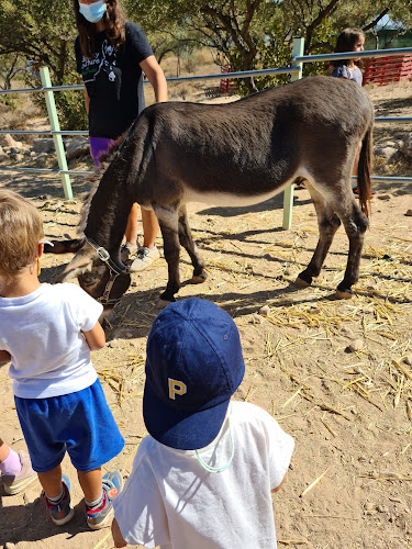 Comentarii opinii despre Γαϊδουροχώρα - Το Ελληνικό Κέντρο για το Γαϊδούρι