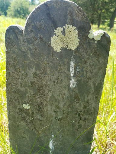 Historical Landmark «Smith-Appleby House», reviews and photos, 220 Stillwater Rd, Smithfield, RI 02917, USA