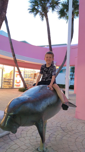 Gift Shop «Big Shark», reviews and photos, 2715 N Atlantic Ave, Daytona Beach, FL 32118, USA