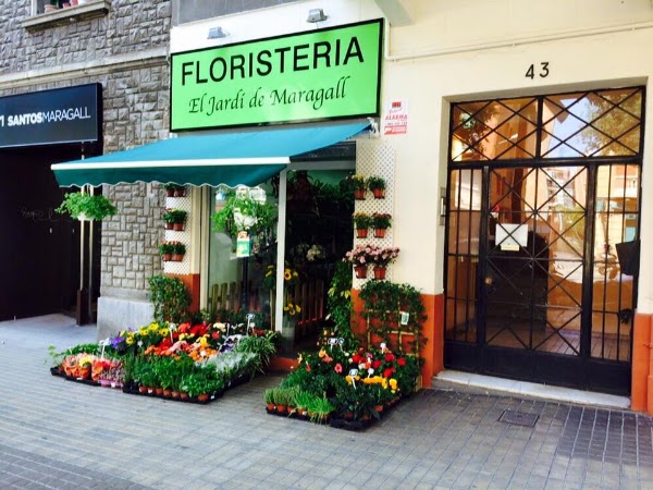 Imagen de Floristeria el jardi de maragall (2 de 27)