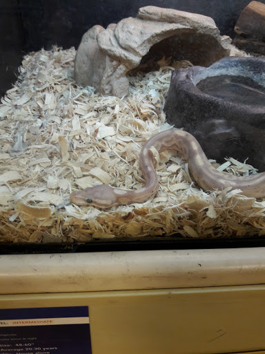 Pet Supply Store «PetSmart», reviews and photos, 1196 W Olive Ave, Merced, CA 95348, USA