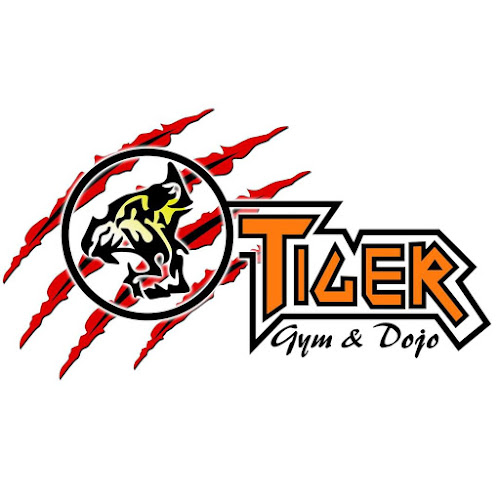 Comentarios y opiniones de Academia de artes marciales y gym Tiger