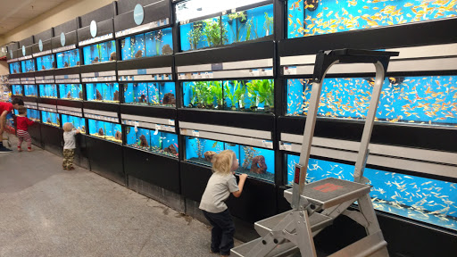 Pet Supply Store «Petco Animal Supplies», reviews and photos, 2784 W Peoria Ave, Phoenix, AZ 85029, USA