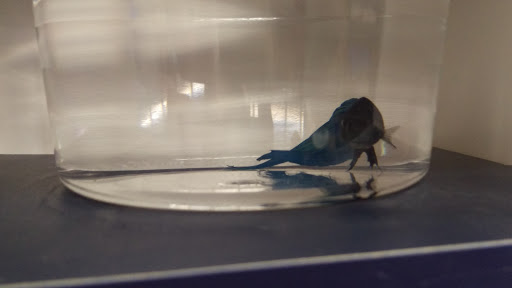 Pet Supply Store «Petco Animal Supplies», reviews and photos, 4665 Garth Rd #400, Baytown, TX 77521, USA