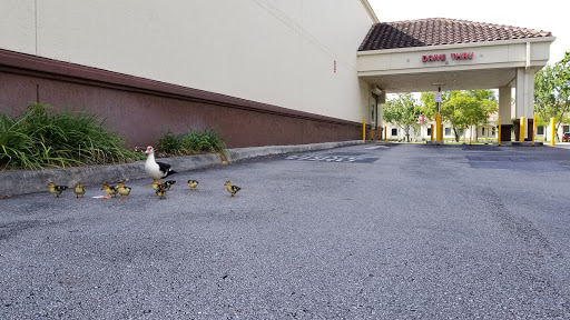 Drug Store «Walgreens», reviews and photos, 11750 W Sample Rd, Coral Springs, FL 33065, USA