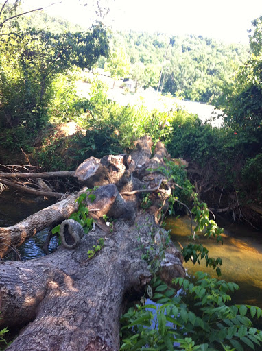 Live Music Venue «Oak Mountain Amphitheatre», reviews and photos, 1000 Amphitheater Rd, Pelham, AL 35124, USA