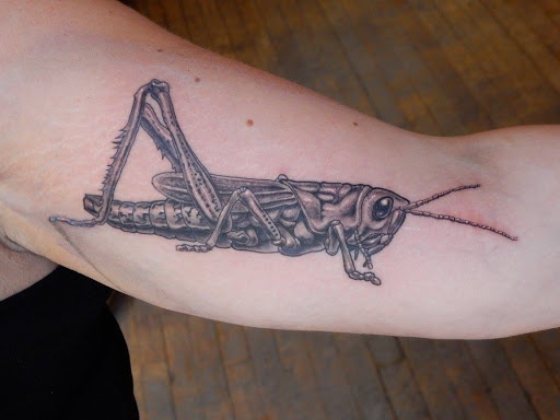 Tattoo Shop «Sanctuary Tattoo & Art Gallery», reviews and photos, 31 Forest Ave, Portland, ME 04101, USA