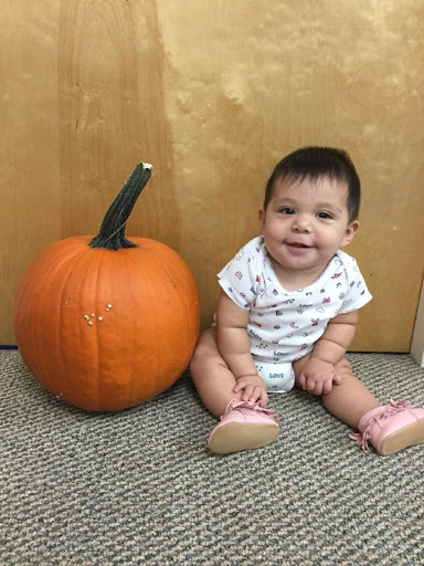 After School Program «Penny Lane School», reviews and photos, 4527 SW Hwy, Oak Lawn, IL 60453, USA