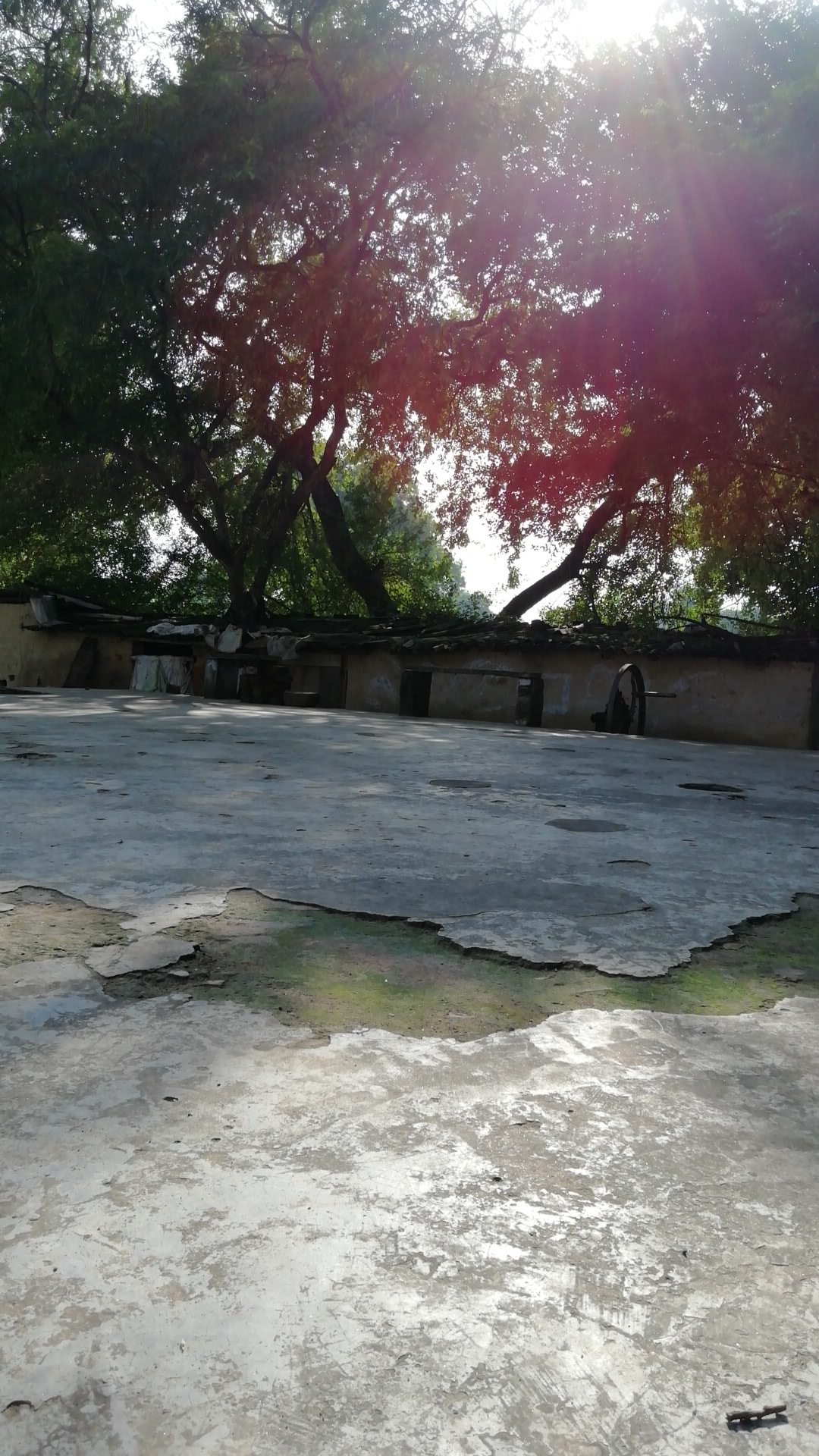 शिवमंदिर