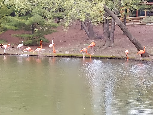 Zoo «Milwaukee County Zoo», reviews and photos, 10001 W Bluemound Rd, Milwaukee, WI 53226, USA