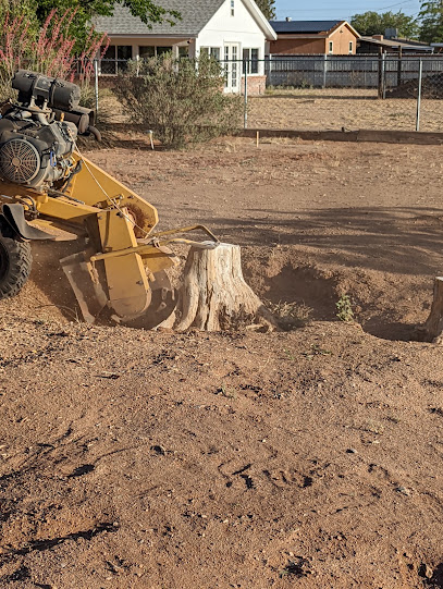 Desert Oasis Tree Service