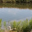 Elizabeth River Parkway