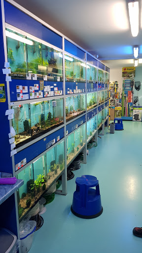 Aquaristik Lapadus unter Aalen, 