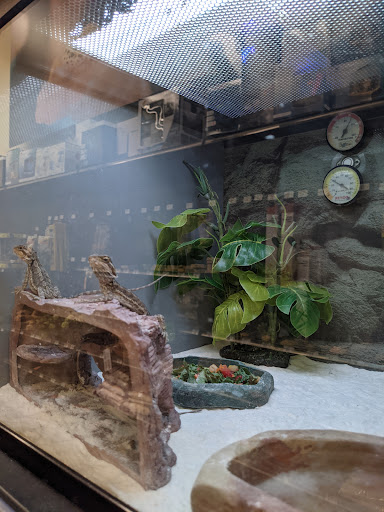 Pet Supply Store «Petco Animal Supplies», reviews and photos, 4013 W Walnut St, Rogers, AR 72756, USA