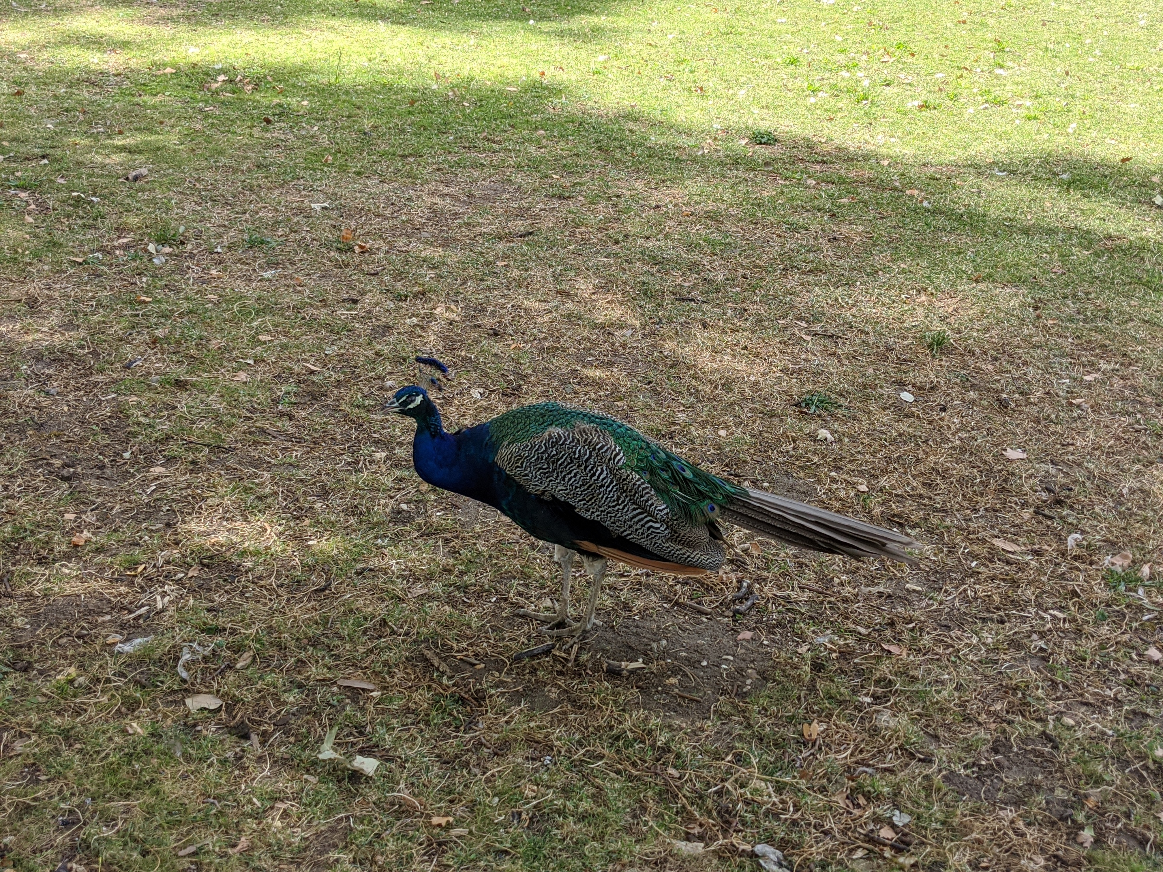 Photo n° 4 de l'avis de Ido.a fait le 02/08/2020 à 14:34