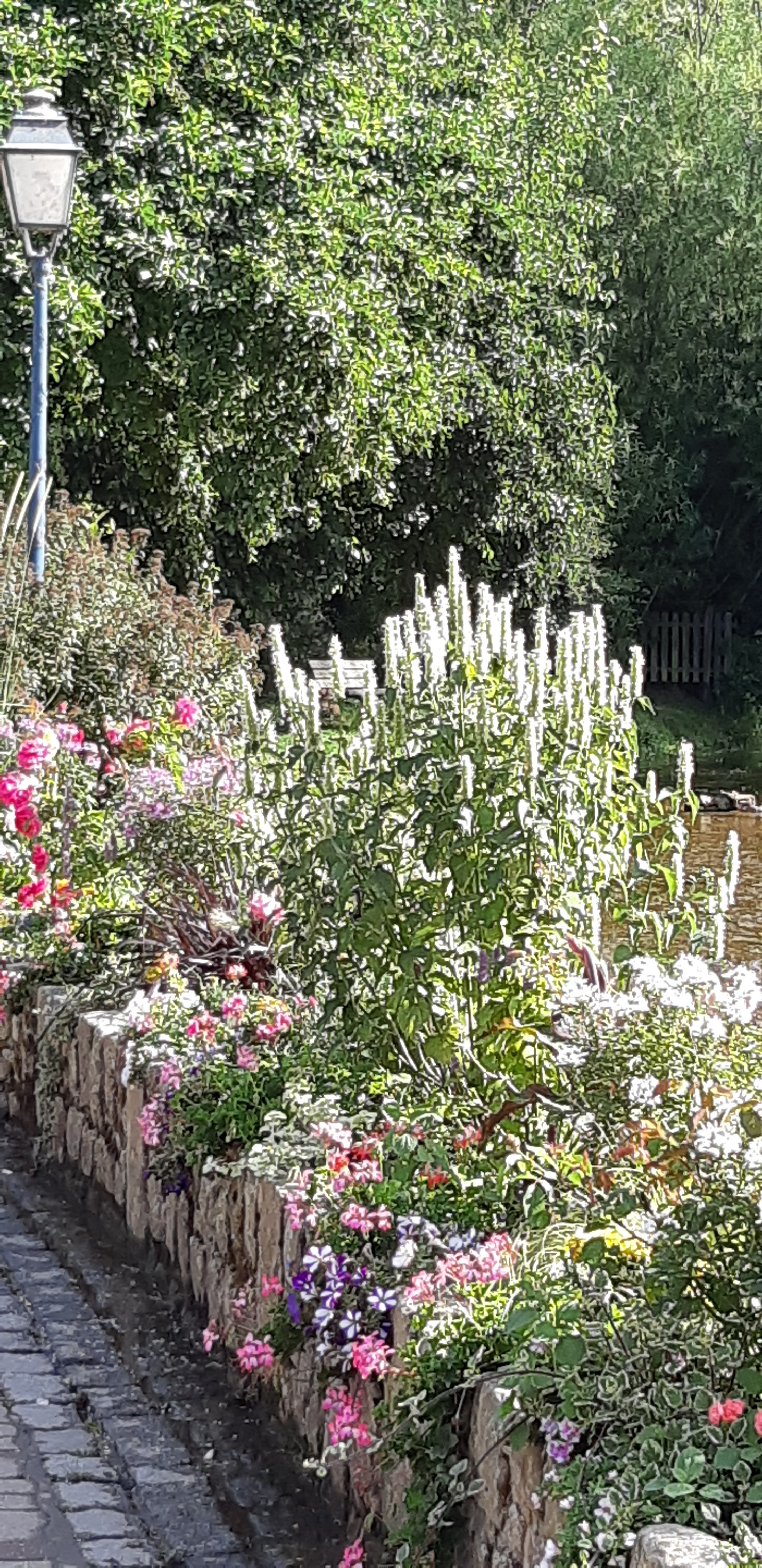 Photo n° 7 de l'avis de David.r fait le 02/08/2018 à 11:45
