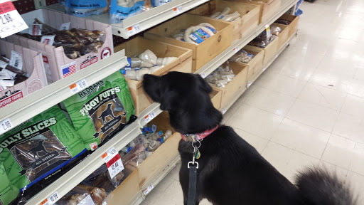 Pet Supply Store «Pet Supplies Plus», reviews and photos, 425 Water St, Chardon, OH 44024, USA
