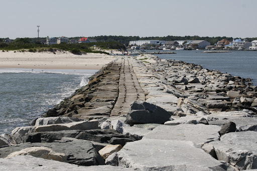 National Park «Assateague Island National Seashore», reviews and photos, 7206 National Seashore Ln, Berlin, MD 21811, USA