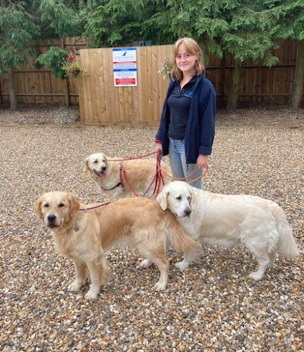 Reviews of The Conifers Canine Hotel in Bedford - Dog trainer