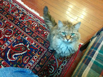 Beverly S Peters, Attorney at Law - Photo 6 - Car repair in Elkhart, IN, Elkhart