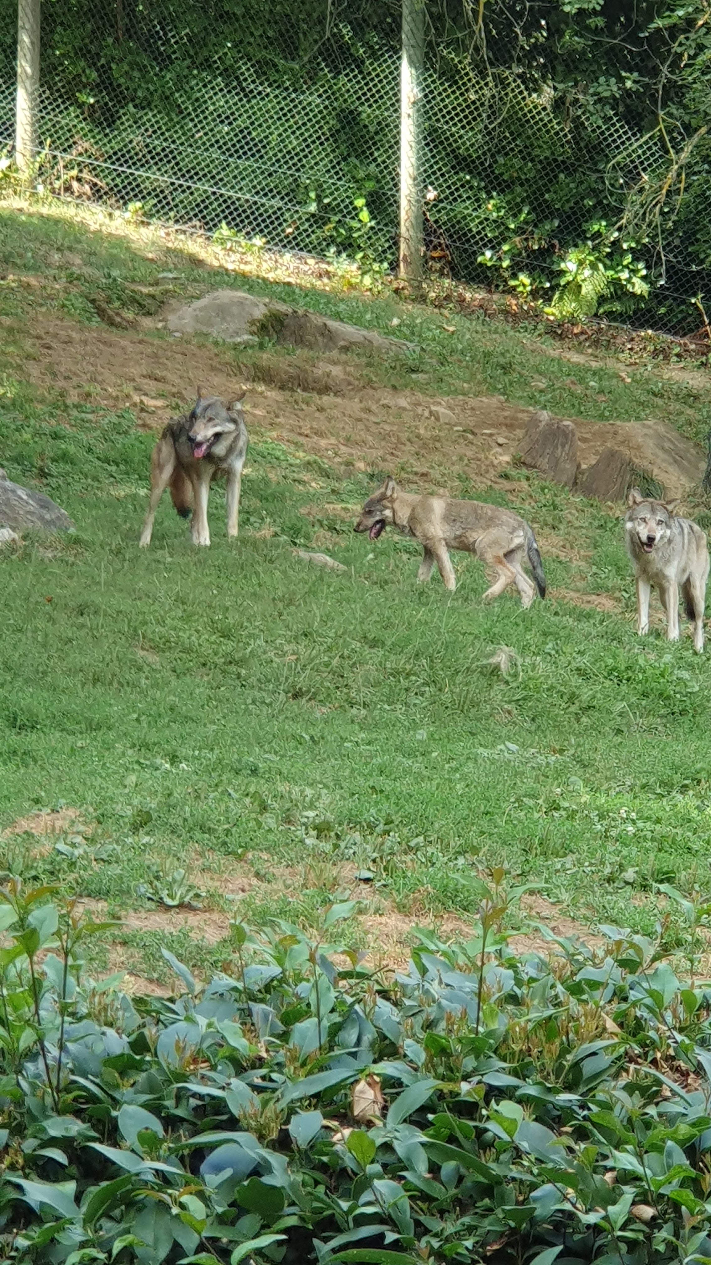Photo n° 5 de l'avis de Jeremy.i fait le 14/08/2023 à 19:48