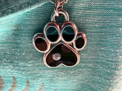 Pet Supply Store «PetSmart», reviews and photos, 131 Highlands Blvd Dr, Manchester, MO 63011, USA