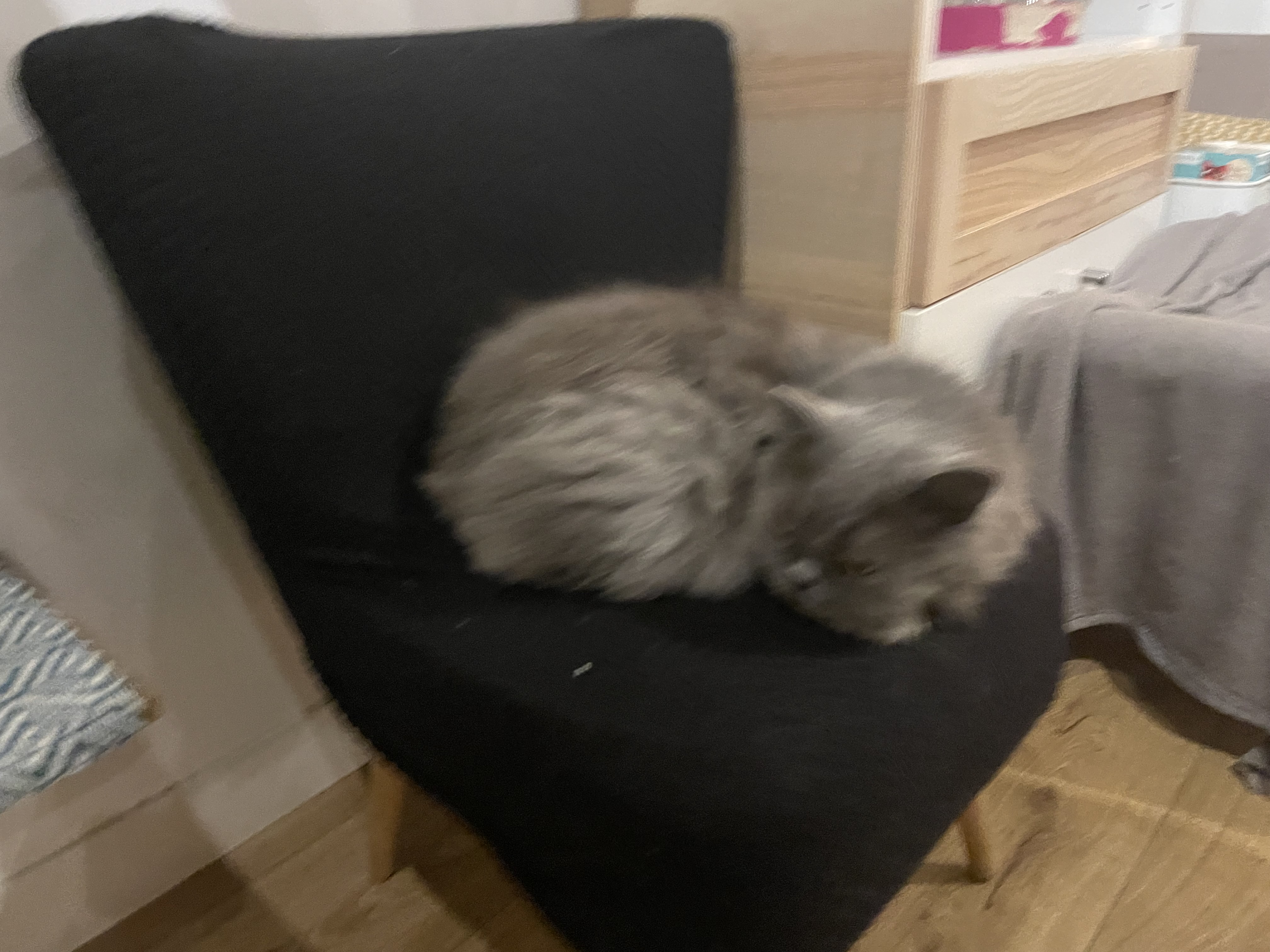 Photo n° 6 de l'avis de Mylène. fait le 29/10/2022 à 19:41