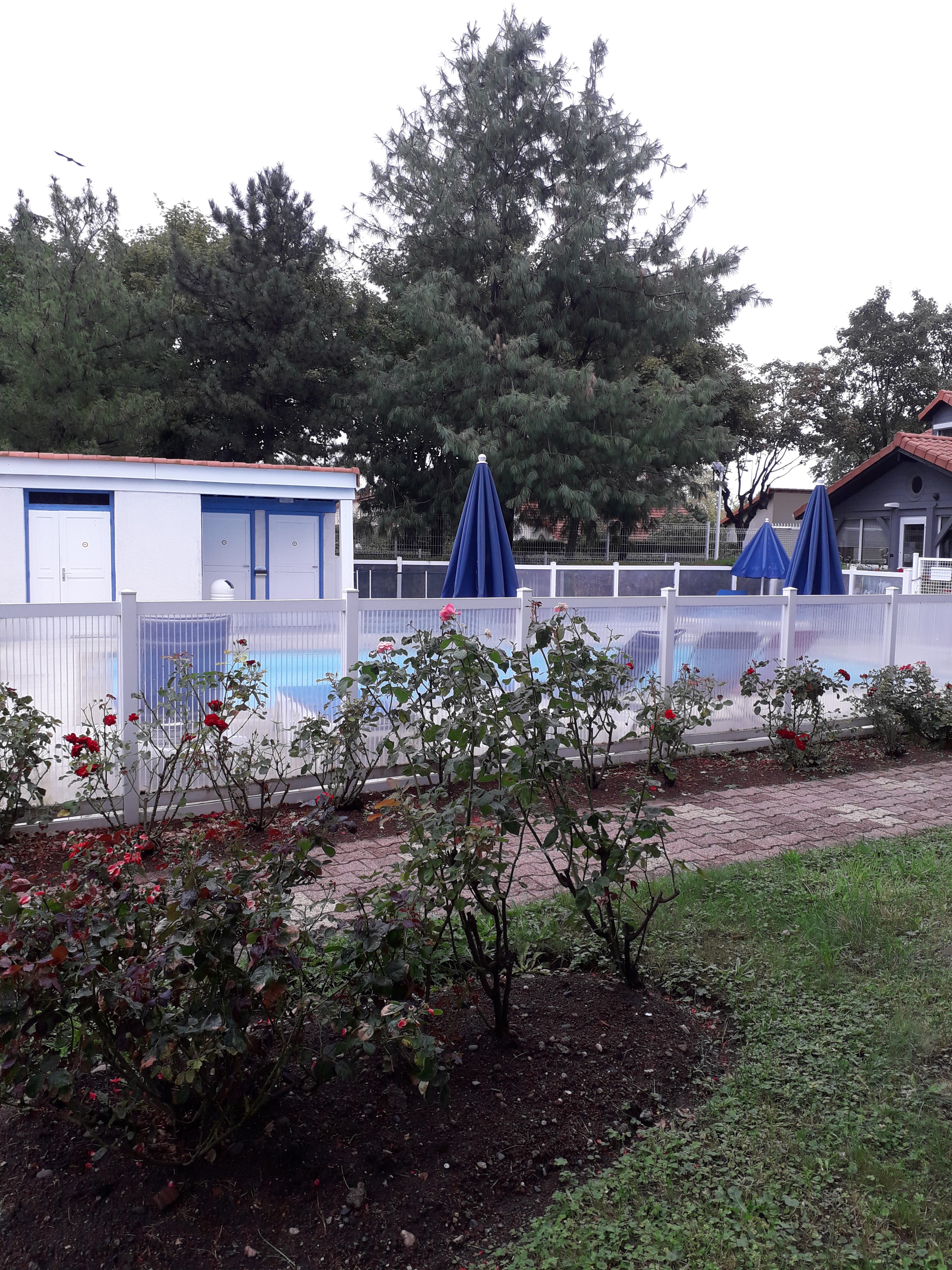Photo n° 4 de l'avis de Anne.i fait le 12/08/2019 à 08:40