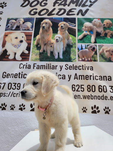 Criadores caninos Murcia