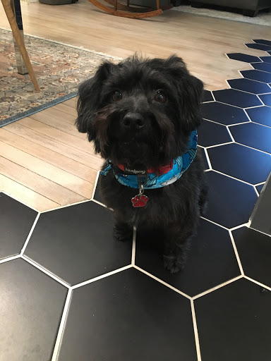 Pet Store «Happy, Clean and Smart», reviews and photos, 5700 W Kilgore Ave, Muncie, IN 47304, USA