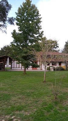 La Villa des Landes à Messanges