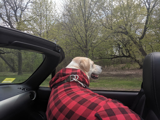 Park «Lake of the Isles Dog Park», reviews and photos, 2845 W Lake of the Isles Pkwy, Minneapolis, MN 55405, USA