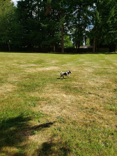 Park «Mark Twain Park», reviews and photos, 10625 132nd Ave NE, Kirkland, WA 98033, USA