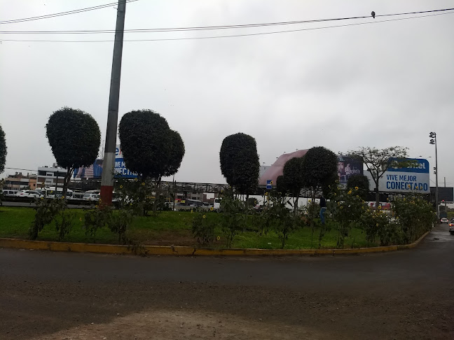 Opinii despre Dr Ubaldo Sánchez Moya în Callao - Veterinario