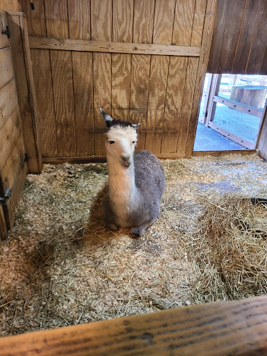 Zoo «Prospect Park Zoo», reviews and photos, 450 Flatbush Ave, Brooklyn, NY 11225, USA