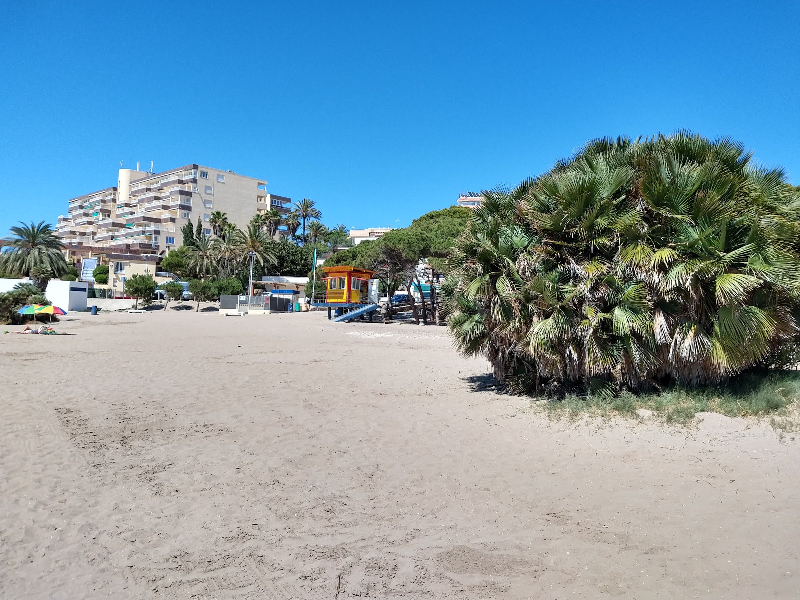 Cala del Pino photo #8