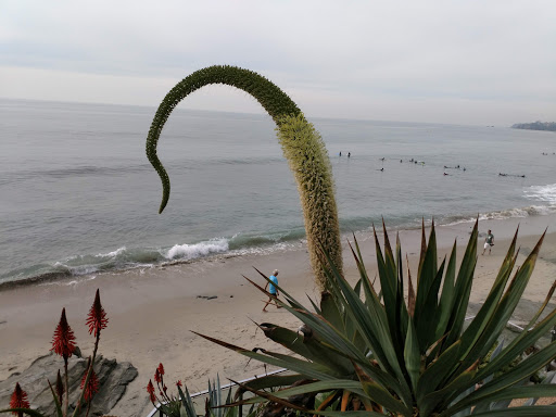 Laundromat «Coast Highway Laundromat & Dry», reviews and photos, 1040 S Coast Hwy, Laguna Beach, CA 92651, USA