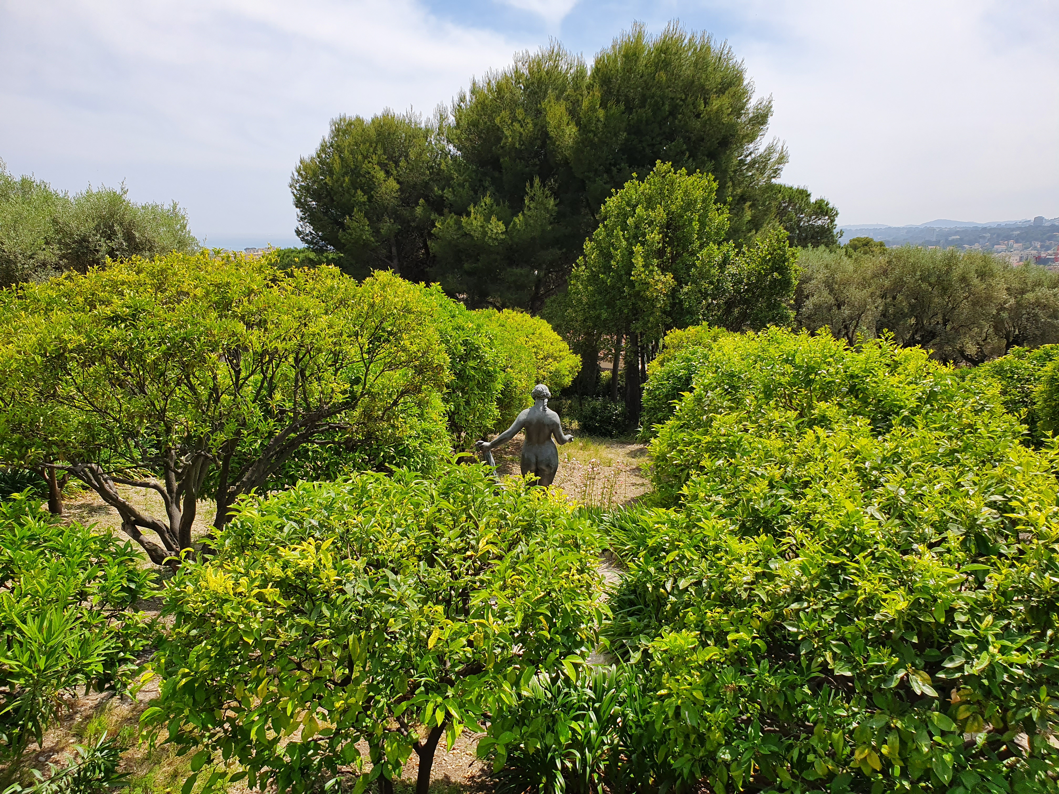 Photo n° 2 de l'avis de ray.r fait le 08/06/2019 à 17:31