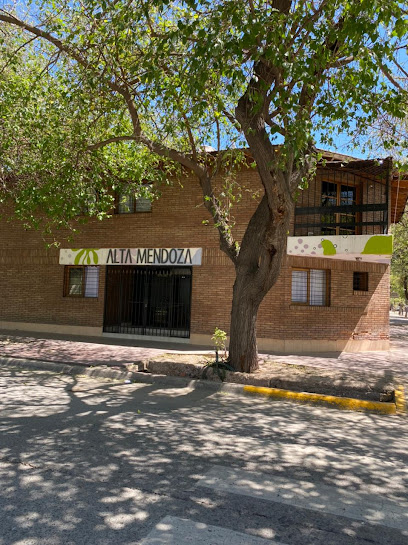 Hotel Alta Mendoza
