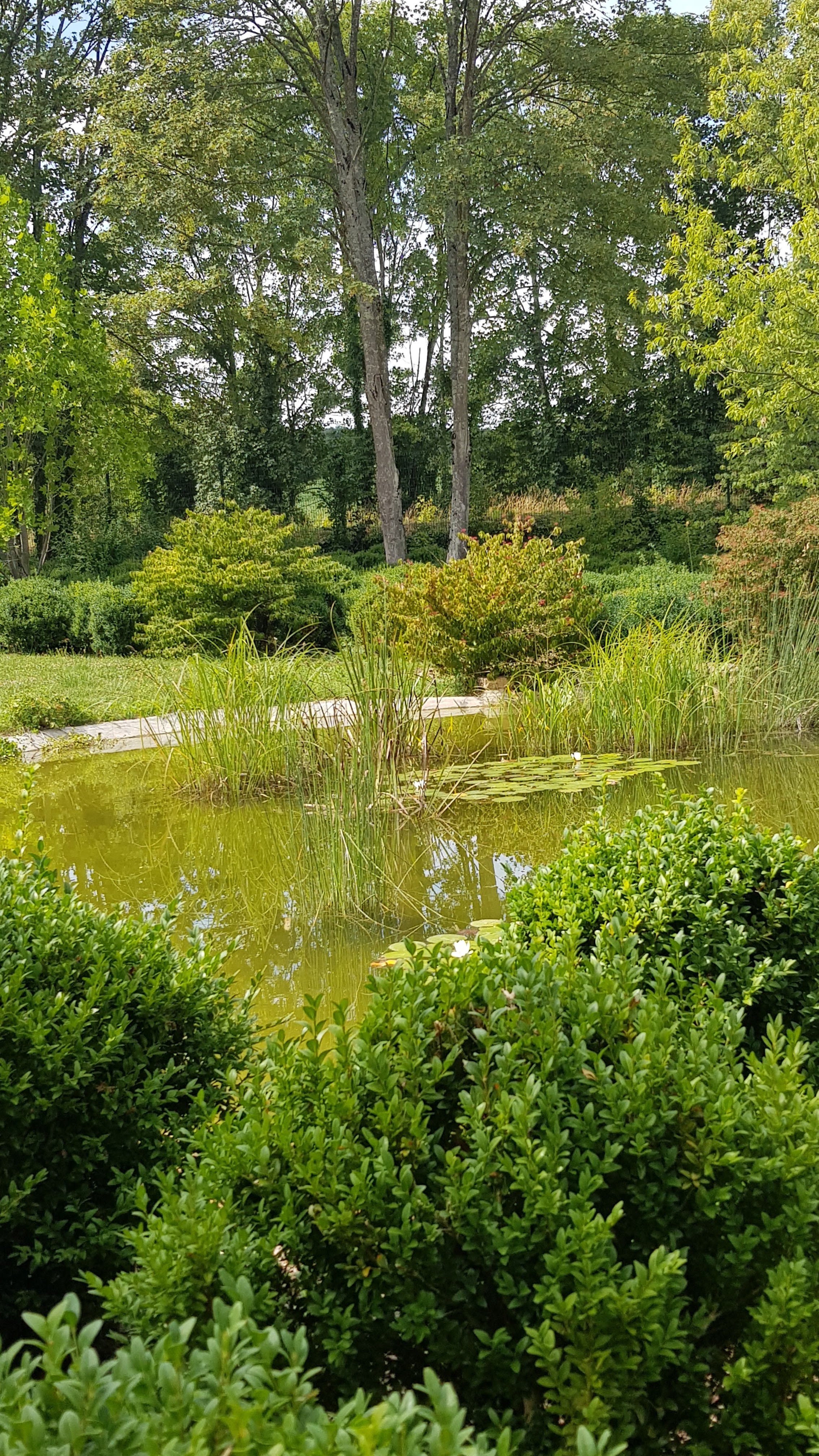 Photo n° 14 de l'avis de Martina.A fait le 14/07/2020 à 15:37