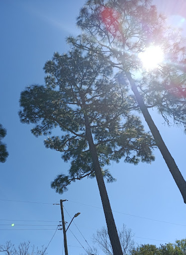 Park «Candyland Park», reviews and photos, 599 Longdale Ave, Longwood, FL 32750, USA