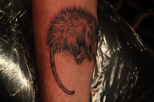 Explore canada tattoo ideas, creative tattoo ideas in Homosassa, available at Citrus Tattoos