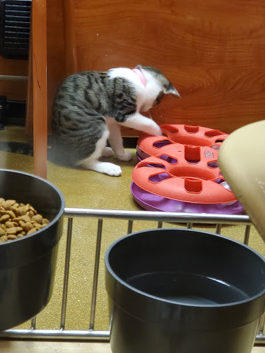 Pet Supply Store «PetSmart», reviews and photos, 2730 Pacific Coast Hwy, Torrance, CA 90505, USA