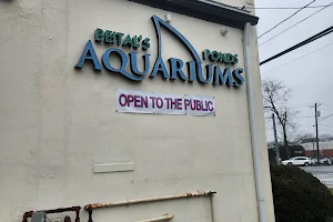 Beital's Aquariums Sales, Services & Ponds image