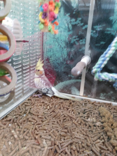 Pet Supply Store «Pet Supplies Plus», reviews and photos, 26230 Hoover Rd, Warren, MI 48089, USA