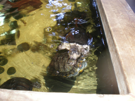 Pet Supply Store «Creative Pet Supply», reviews and photos, 305 N Harbor Blvd, San Pedro, CA 90731, USA