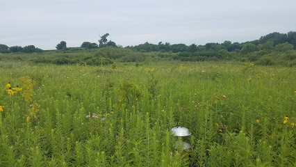 Engeldinger Marsh