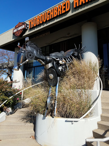 Harley-Davidson Dealer «Thoroughbred Harley-Davidson», reviews and photos, 8025 Action Blvd, Florence, KY 41042, USA