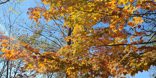 Nature Preserve «Jackson Bog State Nature Preserve», reviews and photos, 7984 Fulton Dr NW, Massillon, OH 44646, USA